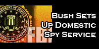 Bush sets up domestic spy service
