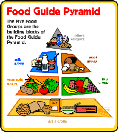 Healthy Food Pyramid