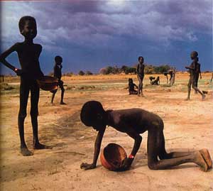 children looking for food photo