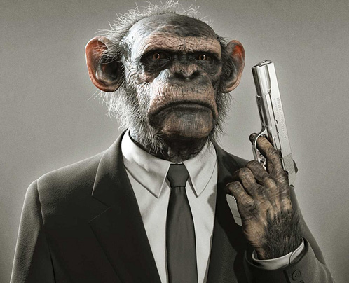This monkey is an agent for the CIA, watch him! 