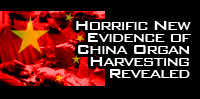 Horrific New Evidence of China Organ Harvesting Revealed 